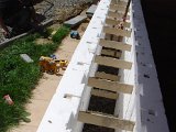 DSC03401.JPG