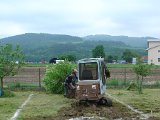 DSC03557.JPG