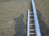DSC03573.JPG